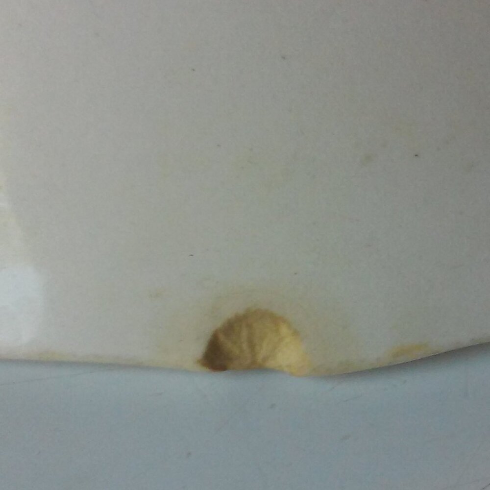 Vintage Roses 4 Small China Desert Plates 6"  And Bowl 8 3/4" 22K Gold Trim - Picture 4 of 5